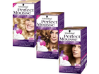 Schwarzkopf-perfect-mousse