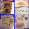 Gimpet-shiny-cat-kitten-thunfisch