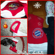 Fc-bayern-muenchen-nikolausstrumpf