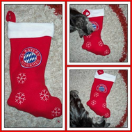 Fc-bayern-muenchen-nikolausstrumpf