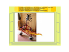 Rollator-mit-korb
