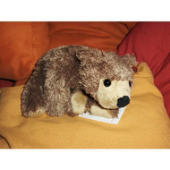 Steiff-urs-bild1