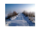 Diese-neblige-winterlandschaft-wurde-unmittelbar-nach-dem-kauf-januar-2011-mit-diesem-weitwinkel-gemacht-ich-denke-da-brauche-ich-nichts-mehr-dazu-zu-sagen