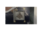 Ein-tannenbaum-ist-das-motiv-des-ersten-tages