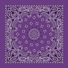 Bandana-paisley