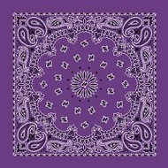 Bandana-paisley