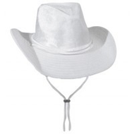 Cowboy-hut-silber