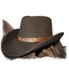 Stetson-westernhut-braun