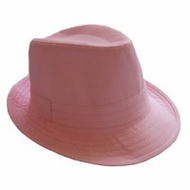 Trilby-rosa