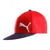 Puma-cap-rot