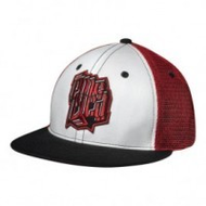 Emerica-trucker-cap