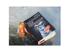 Das-buch-an-sich