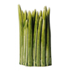 Normann-copenhagen-grass