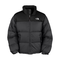 The-north-face-herren-daunenjacke