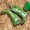 Gummistiefel-gummi