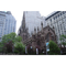 New-york-trinity-church