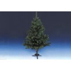 Ekh-weihnachtsbaum-mit-fuss