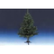 Ekh-weihnachtsbaum-mit-fuss