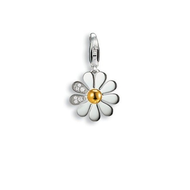 Esprit-charms-anhaenger-blossom-eszz90398a