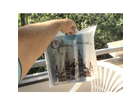 Taller-grafic-mallorca-2013-meine-einkaufstuete-mit-dem-kalender-darin