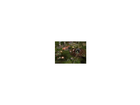 Command-conquer-generaele-pc-strategiespiel