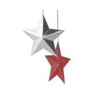 Blomus-weihnachtsschmuck-stern-set