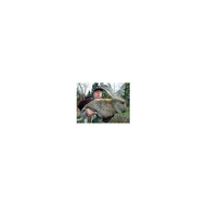 Bild-wurde-gedruckt-mit-canon-cl-513