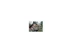Bild-wurde-gedruckt-mit-canon-cl-513