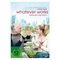 Whatever-works-liebe-sich-wer-kann-dvd-komoedie