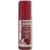 Phyto-phytolaque-soie-seidenfaser-haarspray