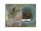 Sheba-lachs