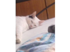 Meine-suesse-sunny