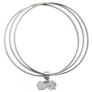 Leonardo-011797-whisper