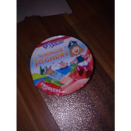Bauer-wikinger-joghurt-erdbeere