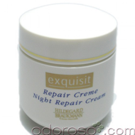 Hildegard-braukmann-exquisit-repair-creme