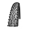 Schwalbe-racing-ralph-evolution