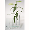 Seleco-kerzenstaender-vase