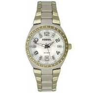Fossil-am4183