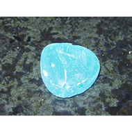 Das-bonbon