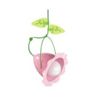 Haba-deckenlampe-rosie