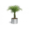 Blomus-blumentopf-greens-18-cm