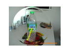 Die-flasche
