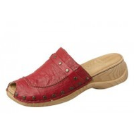 Clog-rot