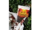 Blutsommer