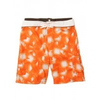 Chiemsee-boardshort