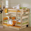 Etagenbett-birke