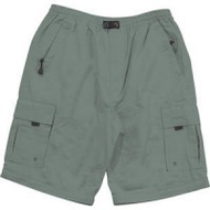 Bermudas-oliv