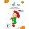Caillou-19-spass-im-regen-und-weitere-geschichten-dvd