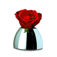 Philippi-vase-bulb-small