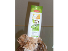 Alverde-coffein-shampoo-gruener-kaffee